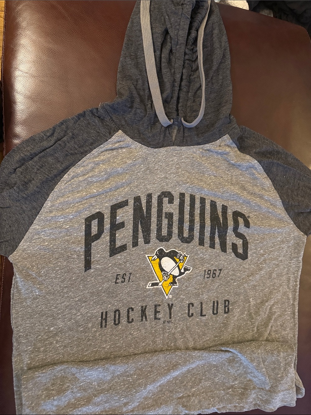 NHL Penguins Youth Gray Two-Tone Hooded Tee with Logo